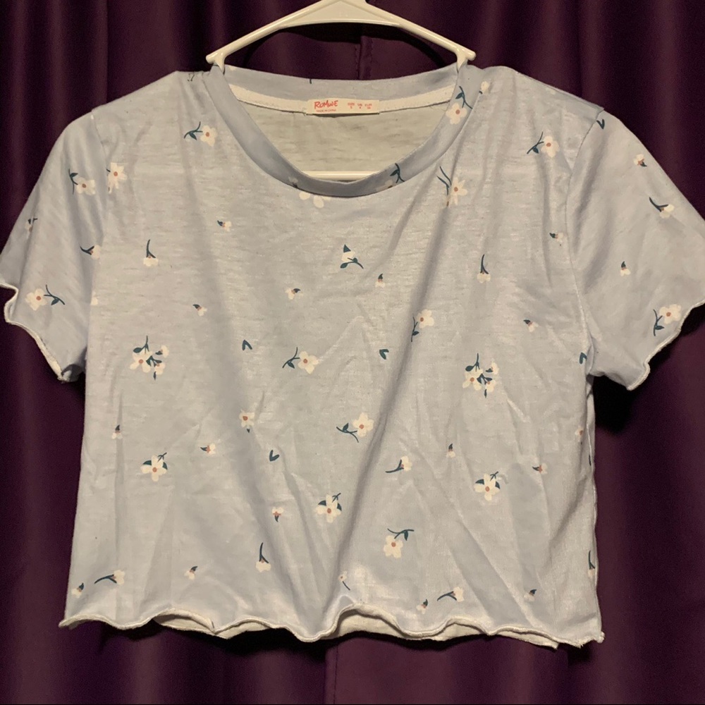 Disty Floral Crop Top
